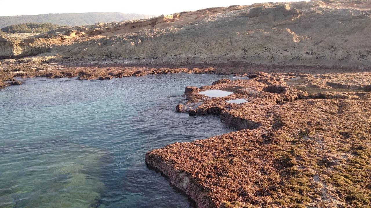 Achziv Beach אכזיב חף Liman Dış mekan fotoğraf