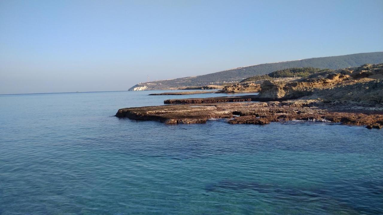 Achziv Beach אכזיב חף Liman Dış mekan fotoğraf