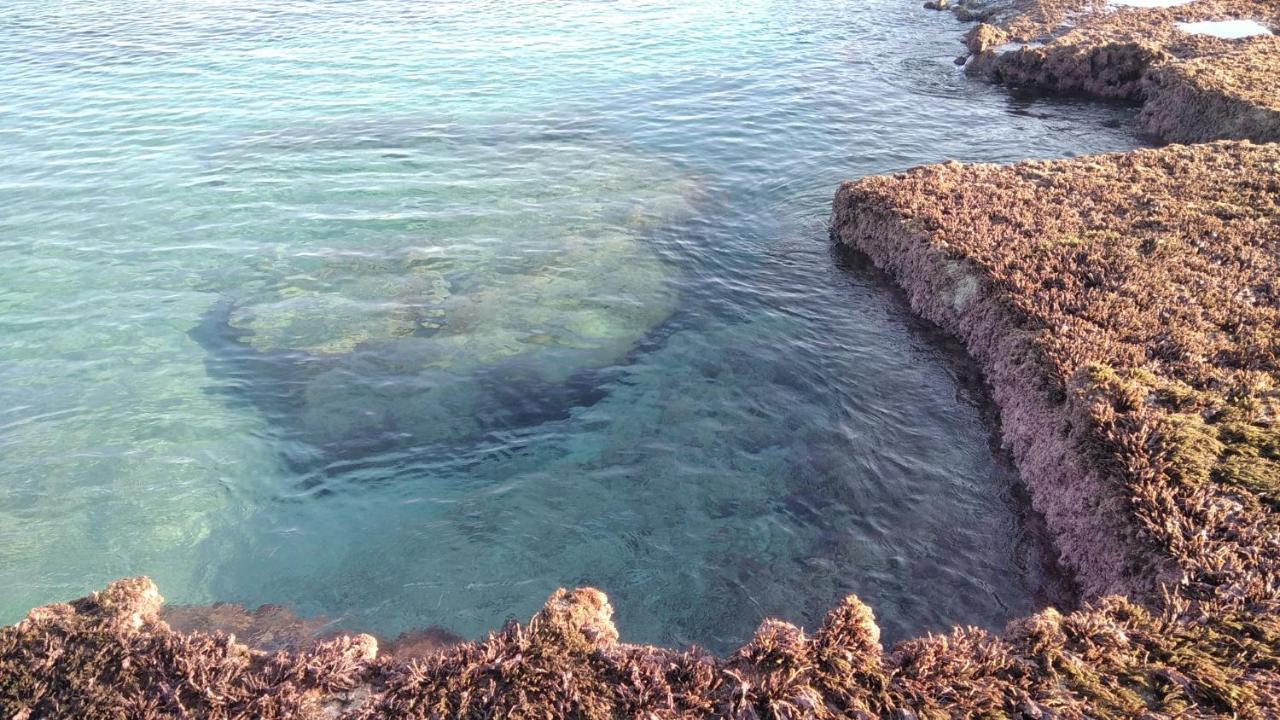 Achziv Beach אכזיב חף Liman Dış mekan fotoğraf