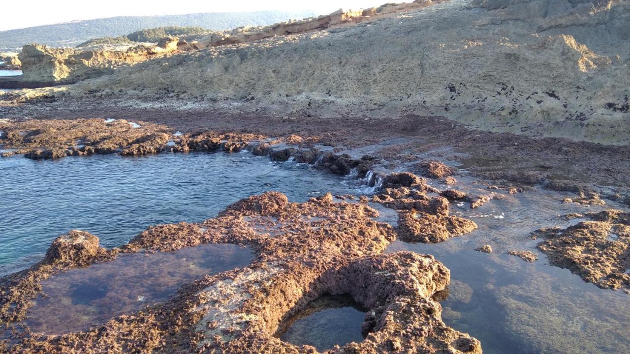 Achziv Beach אכזיב חף Liman Dış mekan fotoğraf